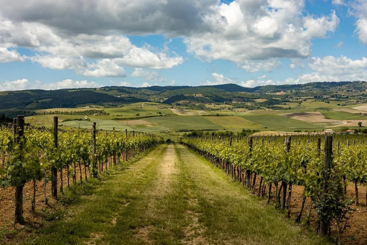 Villa Sce Quiric San Quirico dʼOrcia 0*,